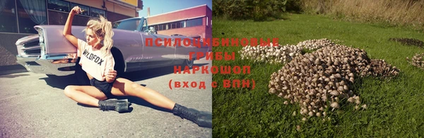 прущая мука Алзамай