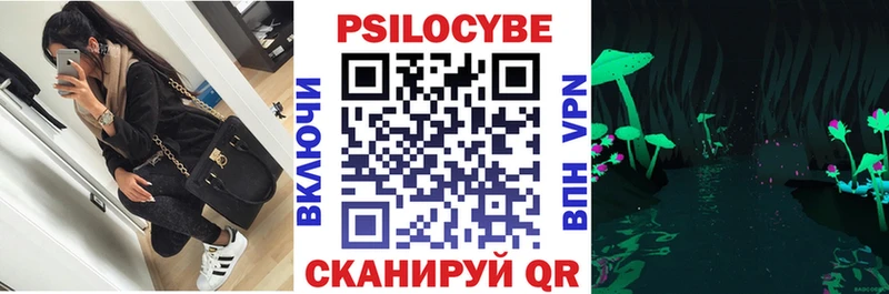 Галлюциногенные грибы мицелий  ссылка на мегу зеркало  Ардатов  наркота 